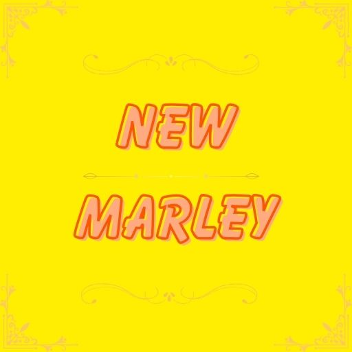 New Marley Chinese Takeaway website logo