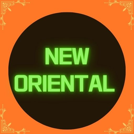 New Oriental Takeaway website logo